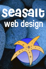 Seasalt web design services